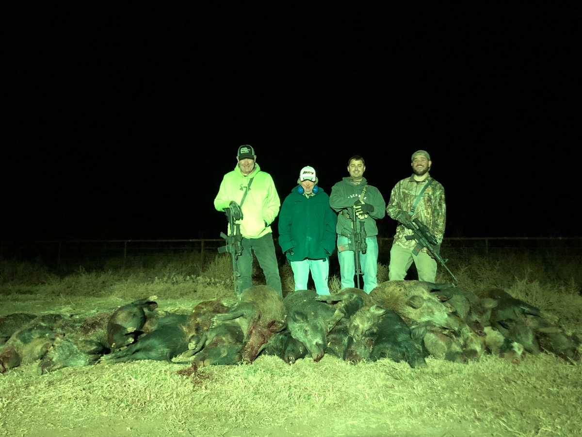 Wild Hog Hunts